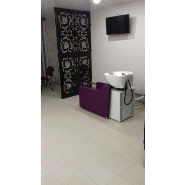 Мойка парикмахерская "Groan"