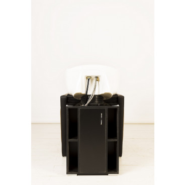 Парикмахерская мойка &quot;Гармония II&quot;