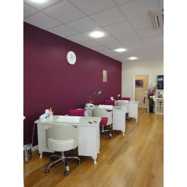 Стол маникюрный Dionis XL