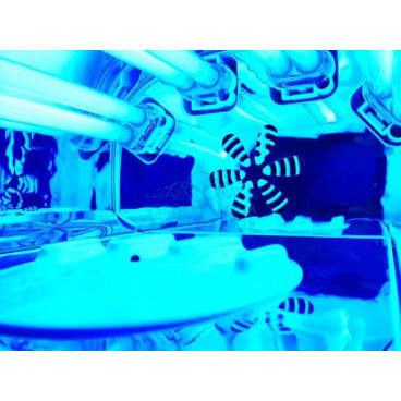 УФ лампа SD-3608